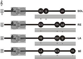 chơi violon ảnh chụp màn hình 1