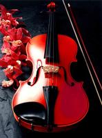 Play Violin اسکرین شاٹ 3