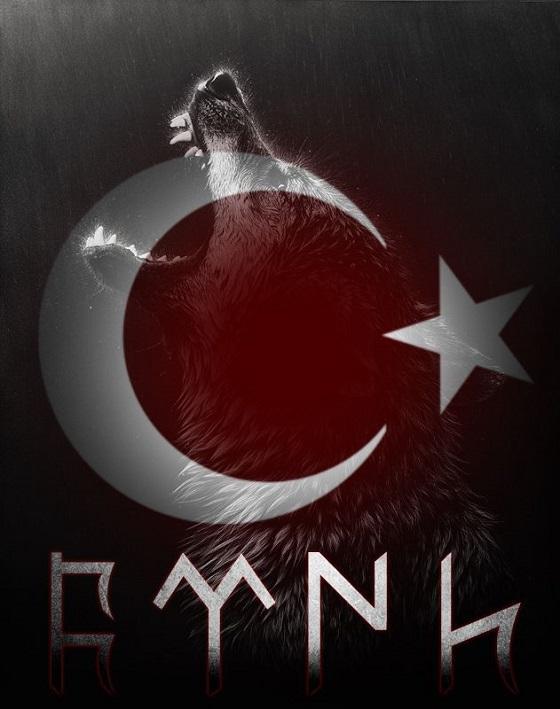 Turk Bayragi Ve Kurt Basi Ile Mukemmel Duvar Kagidi Hayvan Logosu Bayrak Sanat