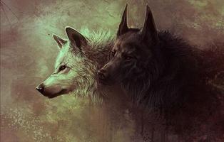 برنامه‌نما Wolves Wallpapers عکس از صفحه