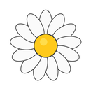 Daisy Fortune: магия лепестков APK
