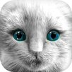 My Kitten (White Outfit) APK