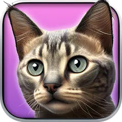 我的小貓：虛擬寵物 XAPK 下載