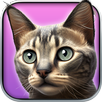 My Kitten : Virtual Pet APK