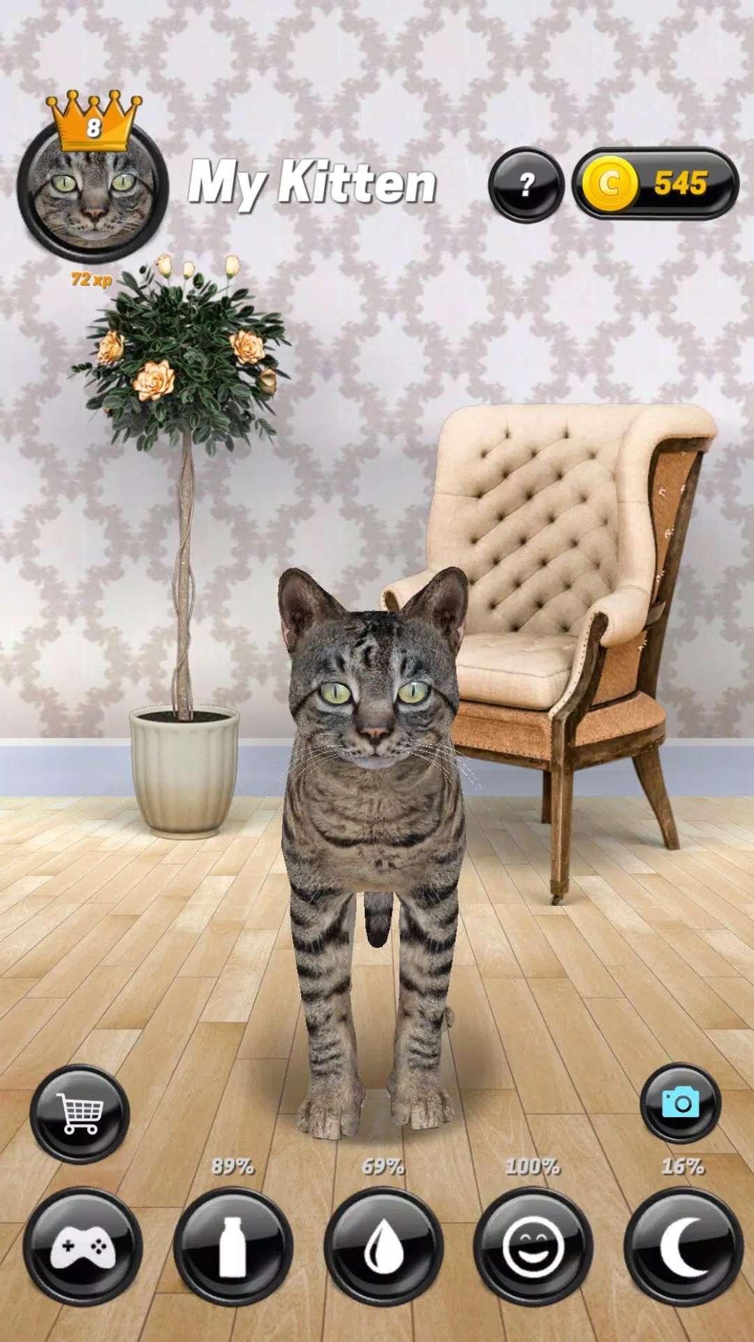 My Cat Jogos de gato virtual versão móvel andróide iOS apk baixar
