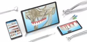 患者相談用の歯科画像