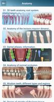 Dental 3D Illustrations ภาพหน้าจอ 1