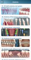 Dental 3D Illustrations اسکرین شاٹ 1
