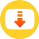 Tube Video Downloader 2022 APK