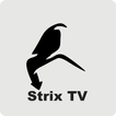 Strix TV Latest Version