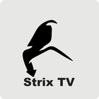 Strix TV Latest Version simgesi