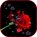 belles fleurs et rose gif APK