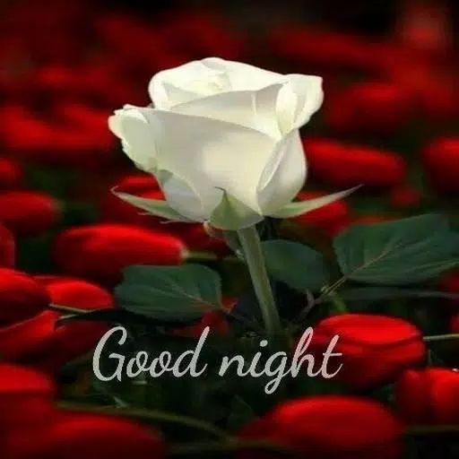 Tải xuống APK Good Night Sweet Dreams flowers Gif cho Android