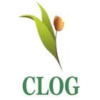 Clog icône