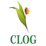 Clog-icoon