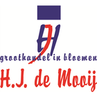 HJ de Mooij 图标