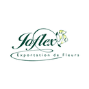 Joflex APK