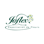 Joflex
