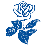 PW de Mooy Flowerexport