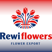 Rewi Flowers