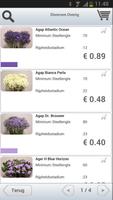 Rewi Flowers Affiche