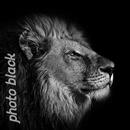 photo black  beautiful picture APK