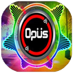 DJ OPUS TIKTOK REMIX 2021