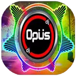 DJ OPUS TIKTOK REMIX 2021