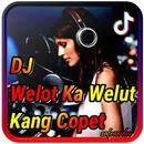 DJ WELOT KA WELUT KANG COPET REMIX VIRAL TIKTOK APK