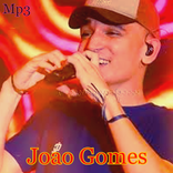 Joao Gomes - Musicas