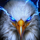 (نسر) 2022 Wallpapers Eagle 4K APK
