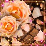 Chocolate and Rose