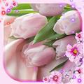 Tulips Fresh Wallpaper