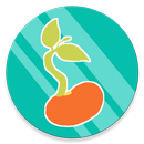 APK Seeds