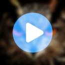 Alka Yagnik All Video Songs-APK