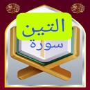 تحفيظ سورة التين مكررة APK