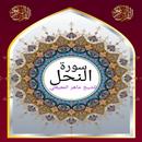 سورة النحل للشيخ المعيقلي صوت APK