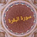 سورة البقرة - suratalbaqarah- APK