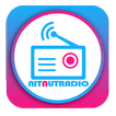 Nitnut Radio Online आइकन
