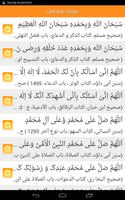 Qurani & Masnoon Duas screenshot 3