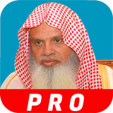 القارئ علي الحذيفي قرآن كريم ص أيقونة
