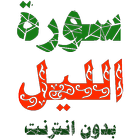 سورة الليل مكتوبة وصوت icono