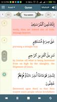 Alim Quran and Hadith Platform Screenshot 1