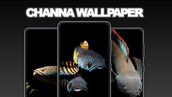 Channa Fish Wallpapers Ekran Görüntüsü 1