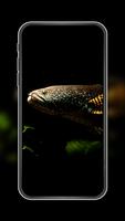 Channa Fish Wallpapers Ekran Görüntüsü 3