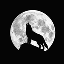 Black Wallpaper HD 4K APK
