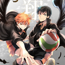 APK Haikyuu Wallpaper HD - Anime
