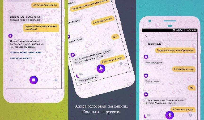 Голосовой переводчик алиса. Сири и Алиса. Кто лучше Алиса или сири. Кто лучше Яндекс Алиса или сири. Алиса кто лучше сири или Алиса.