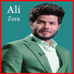 أجمل قصائد علي زورة