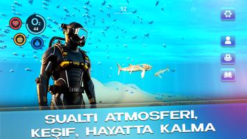 Sualtında Hayatta Kalma: Dalış gönderen